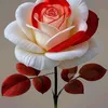 bay.iyo.bakool56