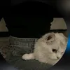 بـطـةة🪿.