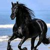 gamalmohamed6908