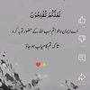 ibrahim.jamil53