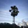 jun_nikom130860