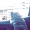 colespam17