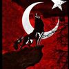 berkay.deryal