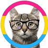 meow_1755