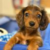 winnie_the_weenie1022