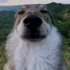 beerdawg_