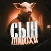 user4132530739198