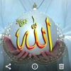 user2708765095496