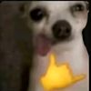 danny_8638