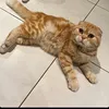 admi_65