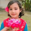 rupa.akther687