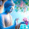 khinkhin8184