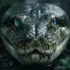 AI Wildlife Lab