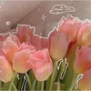 88q.m.p