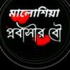 user060337780
