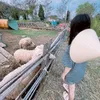mmccoi