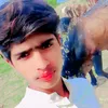 user5285918180084