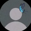 mp_ydj