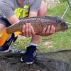 jaydenlomax_20141