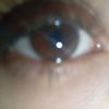 niloofar3966