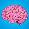 Quiz Master 🧠