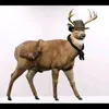 vjchnchbh