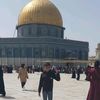 hadimoalla2
