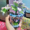shaf_404