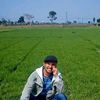 alfaridmustafa