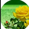 user1357361086818