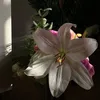 bright.girl41