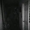 _laurka_.1