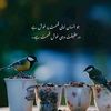 hayazahra092