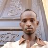 allaa.dina
