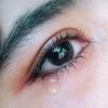 user099478355