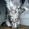 whiskers4205