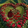 beyde.mohamed