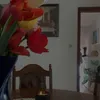 iva_muc4