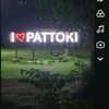 pattokiking73
