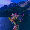 ahmad.noori762