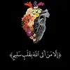 fatima.abbas685