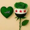 user2437454245177