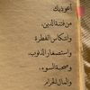 wafaawafaa8495