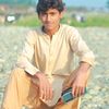 user291258037