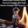 nebahat.ren