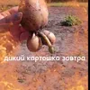 akwk1611519920041