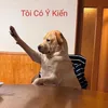 toankute957