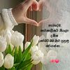 anishiya80