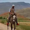 jdldldkdkdkl