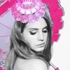 Lolita 🌟
